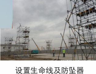 安全防墜器在上海迪士尼樂園項目中的應(yīng)用